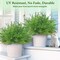 Mixed Eucalyptus Leaves Stems 12PCS, Artificial Plants Boston Fern Fake Branches Faux Shrub Bushes Greenery UV Resistant Plant for Vase Wedding Floral Outdoor Indoor Decor